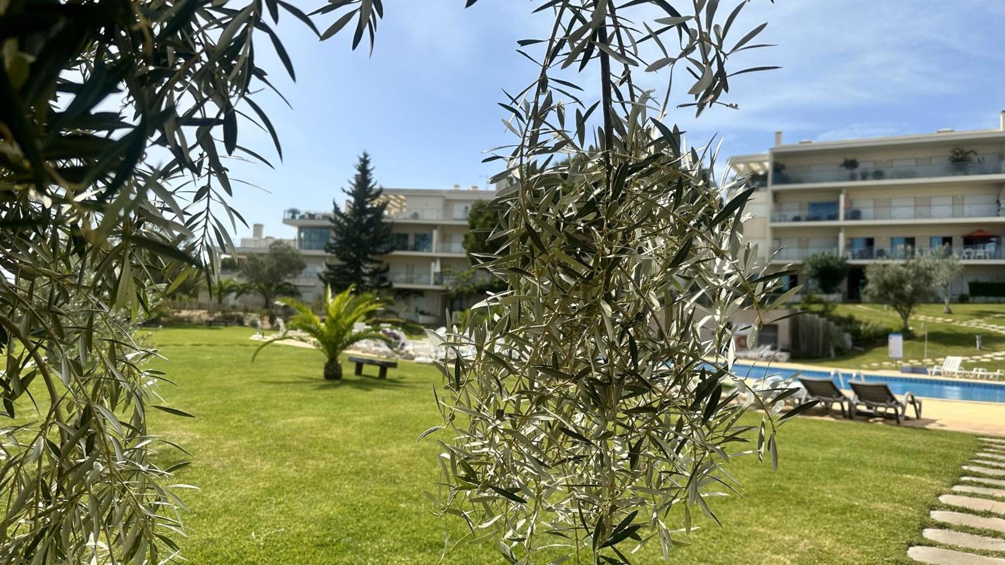 Charmant Appartement A 1Km De La Plage, Avec Piscine A อัลบูเฟรา ภายนอก รูปภาพ